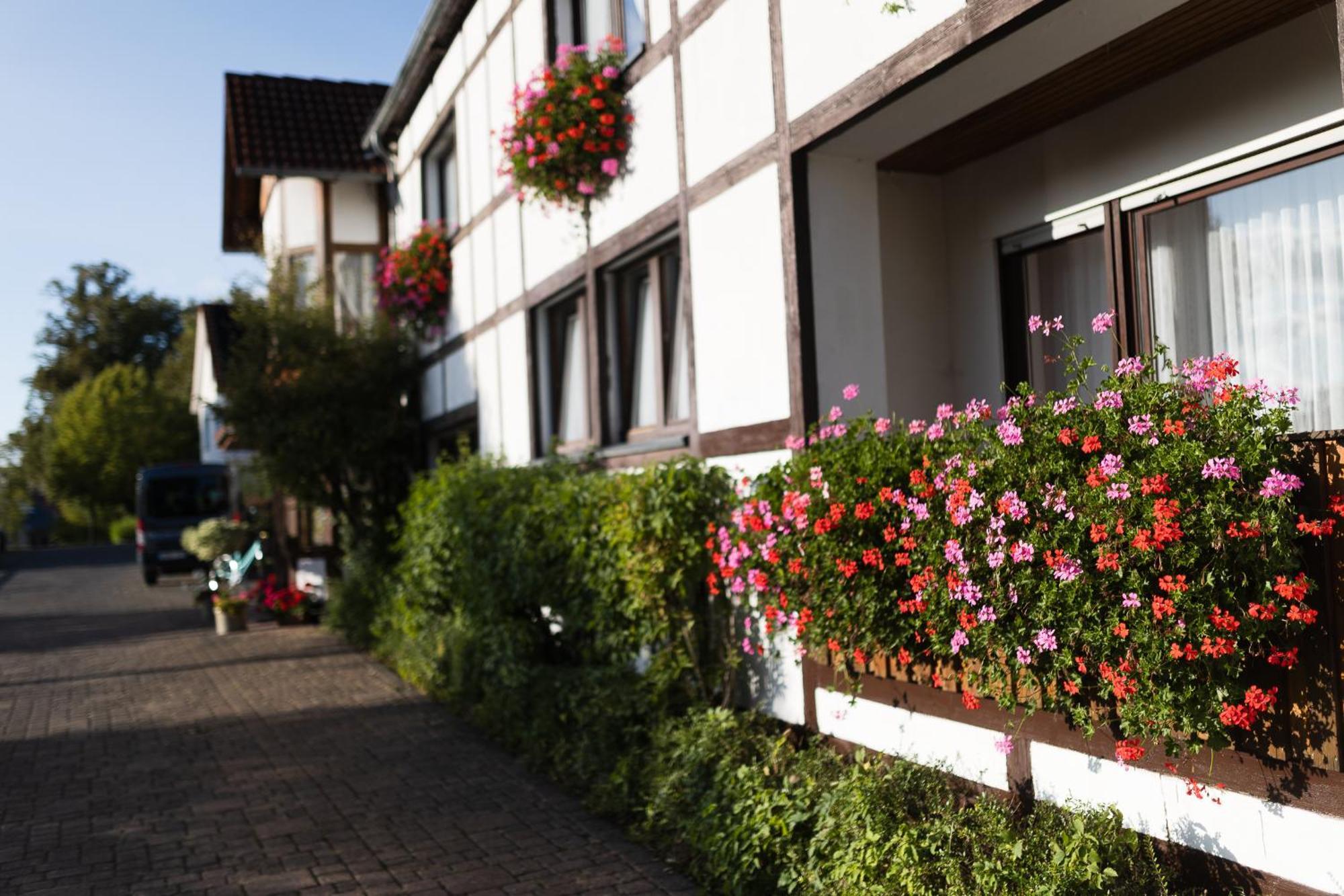 Pension Ridder Marienmünster Exterior foto